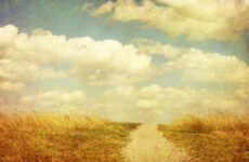 Aliquam erat volutpat