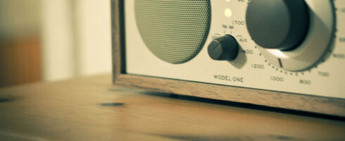 Quisque vehicula dictum